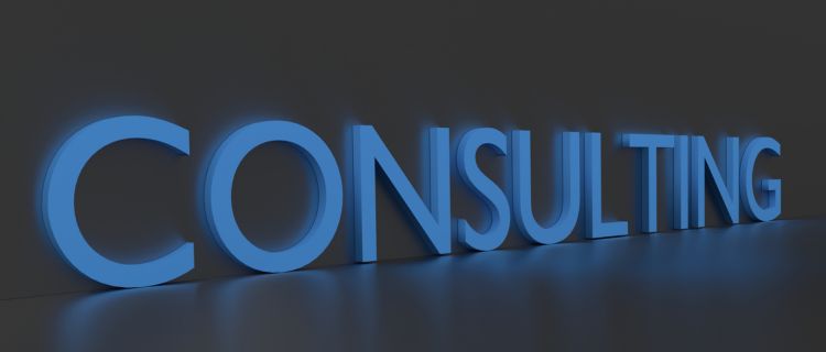 業務支援コンサルタントとは？導入のメリット・デメリットを紹介