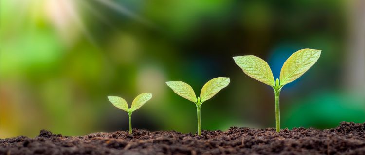 アウトソーシング業界の将来性は？最新動向やリスクを分かりやすく解説